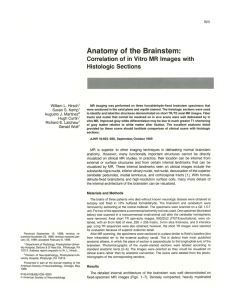 Anatomy of the Brainstem - American Journal of Neuroradiology