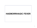 haemorrhagic fever