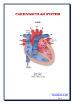 cardivascular system - yeditepe anatomy fhs 121