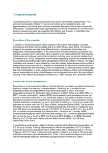 Toxoplasma gondii - Food Standards Australia New Zealand