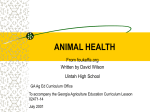 Basic Animal Health - Georgia CTAE | Home