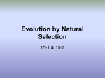 Evolution by Natural Selection