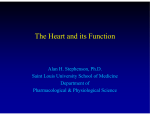 The Heart and its Function - School of Medicine