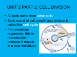 UNIT 2 PART 2 CELL DIVISION highlited