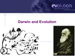 Intro to Evolution and Natural Selection PPT