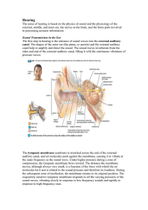 Ear