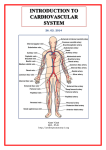 introduction to cardiovascular system 26. 02. 2014