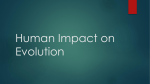 Human Impact on Evolution