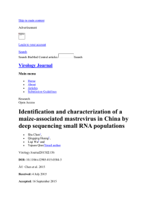 Identification and characterization of a maize
