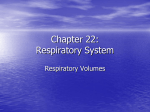 Chapter 23 - Respiratory System