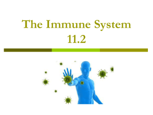 The Immune System