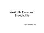 West Nile encephalitis