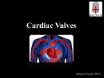 Cardiac Valves - 02-28-2013