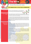 The Wine Expert: Fermentation of Fructose