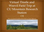 virtual-field-trip-to-cu-mt-research-station