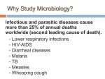 The Golden Age of Microbiology