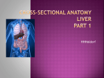 cross-sectional-anatomy-liver-part-1