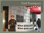 Cell Transport - Northwest ISD Moodle