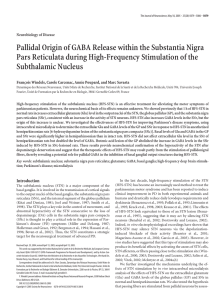 Pallidal Origin of GABA Release within the Substantia Nigra Pars