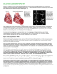 dilated cardiomyopathy - American Heart Association