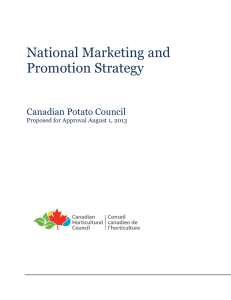 National Marketing and Promotion Strategy