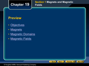 magnetic field - Lemon Bay High School