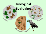 Biological Evolution