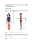 Anatomical terms - allearseducation.org