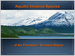 Invasive Species - Shuswap Watershed Project