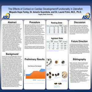 Miquela Research Poster Final