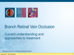Branch Retinal Vein Occlusion (BRVO)