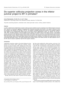 Do superior colliculus projection zones in the inferior pulvinar