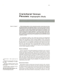 Craniofacial Venous Plexuses: Angiographic Study