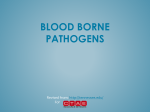 Blood Borne Pathogens PowerPoint