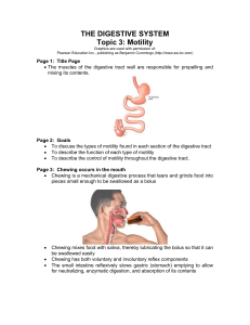 MS Word Version - Interactive Physiology