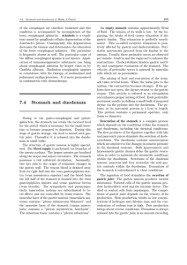 Stomach and duodenum