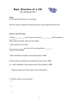 Basic Structure of a Cell