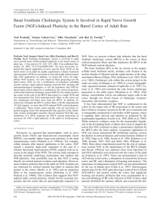 Basal Forebrain Cholinergic System Is Involved in Rapid Nerve