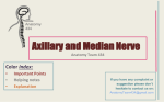 9.Axillary and Median Nerve2014-12-24 02:503.9 MB