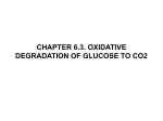 Oxidative degradation of glucose File