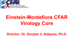 Einstein-Montefiore Center for AIDS Research
