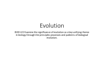 Evolution - Logan Petlak