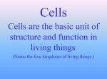 Levels of Organization - Petal School District