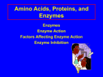 enzymes - La Salle High School