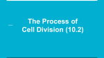 The Process of Cell Division (10.2)