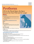 Pyothorax