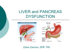 13.Liver.Pancreas