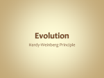 Evolution - 4ubiology