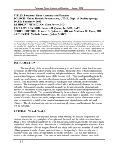 Paranasal Sinus Anatomy and Function January 2002