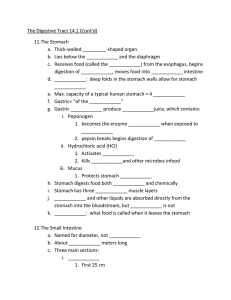 The Digestive Tract 14.1 continued